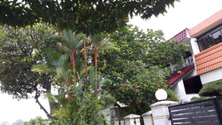 Cheng Soon Garden (D21), Semi-Detached #160364532